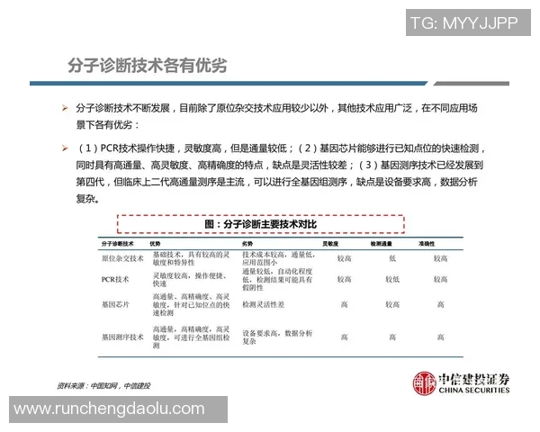广州篮球队灵活性分析:战术调整与球员适应能力的深度探讨